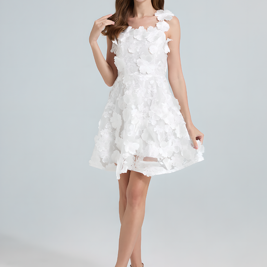 Floral Applique Fit and Flare Mini Dress