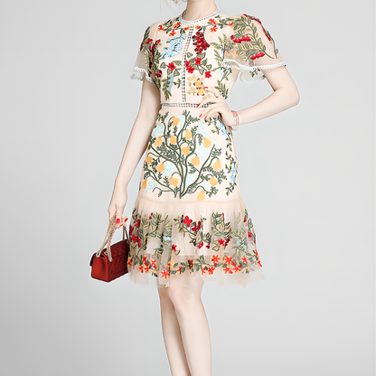 Floral Embroidered Mesh Short-Sleeve Dress